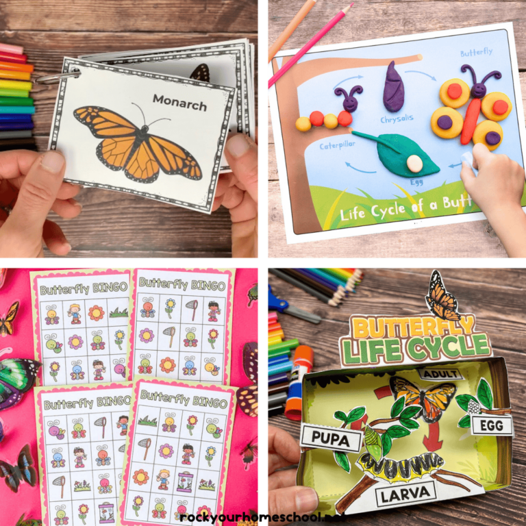 Free Butterfly Printables: A Flutter of Fun and Education