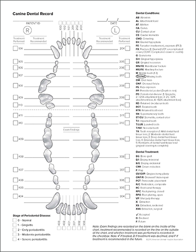 Free Printable Canine Dental Record: A Comprehensive Guide for Pet Owners