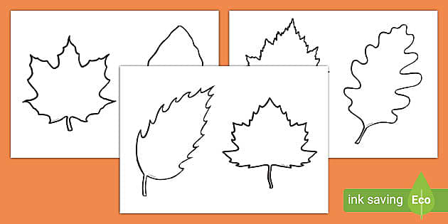 Leaf Outline Printables: A Versatile Resource for Art, Education, and Design