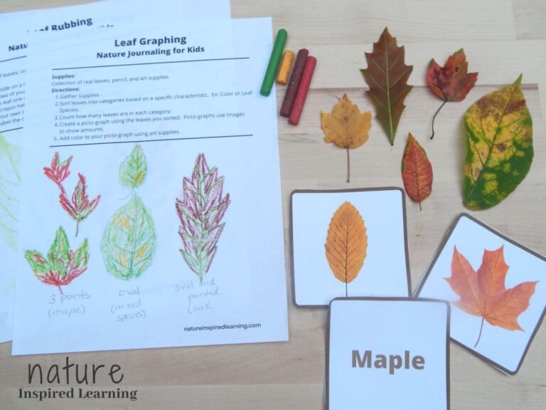 Leaves Of Fall Printables: A Fun And Educational Guide To Autumn