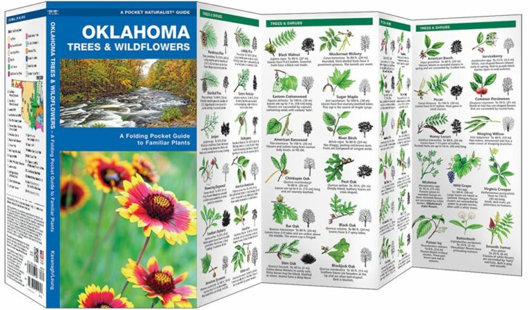 Plants Native To Oklahoma: A Comprehensive Guide and Printable Resources