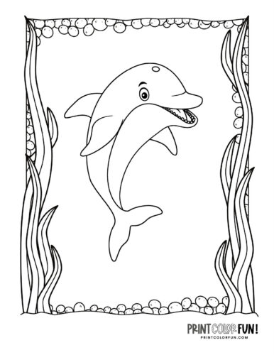 Printable Dolphin Coloring Pages: A Fun and Educational Activity for Kids