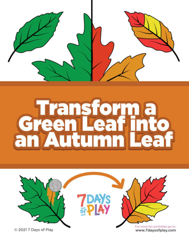 Printable Fall Leaves: Creative Crafts, Educational Fun, and Seasonal Charm