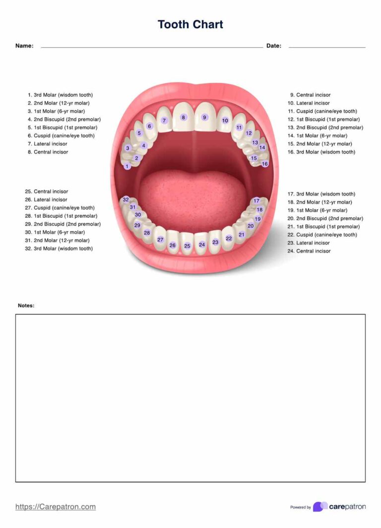 Tooth Chart Printable: A Comprehensive Guide for Dental Professionals and Patients