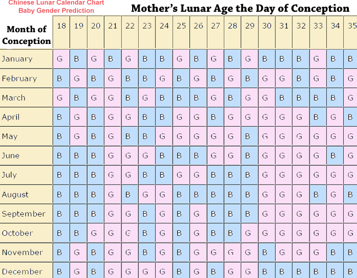 Navigating The Lunar Landscape A Guide To The Chinese Calendar For 