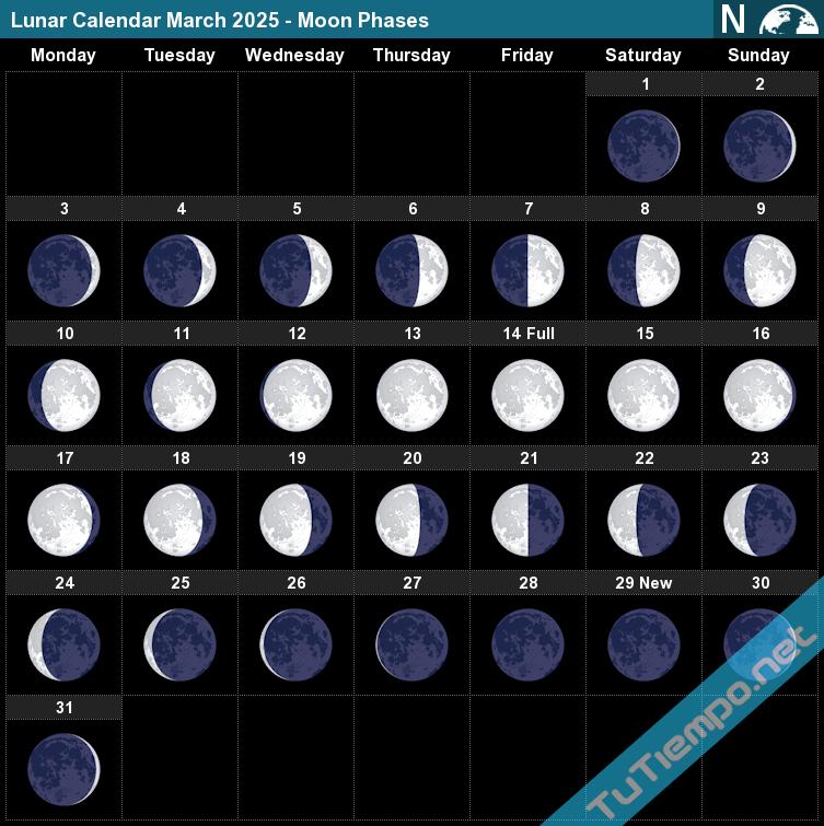 Full Moon For March 2025 Sally Consuelo