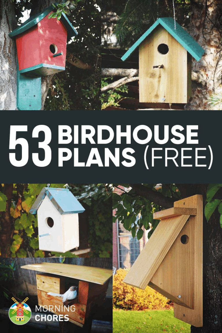 53 Free Diy Bird House Bird Feeder Plans That Will Attract Them To Your 