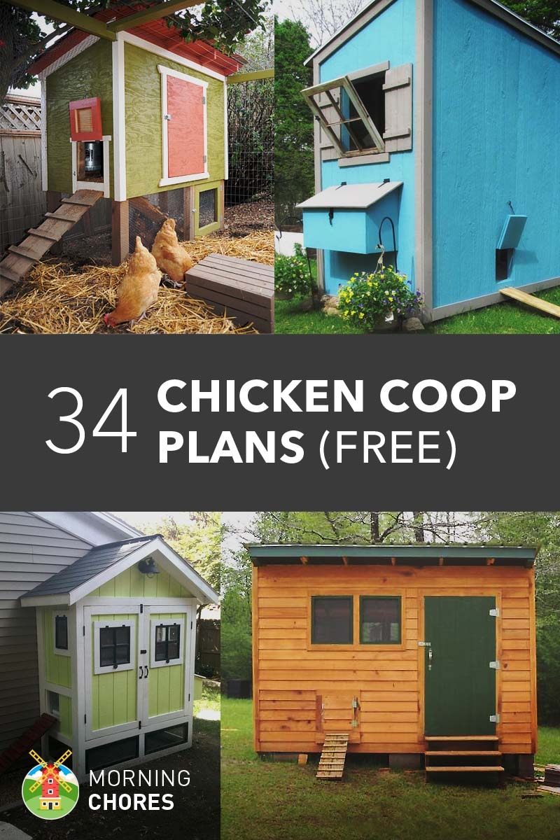 61 Free DIY Chicken Coop Plans Ideas That Are Easy To Build Free 