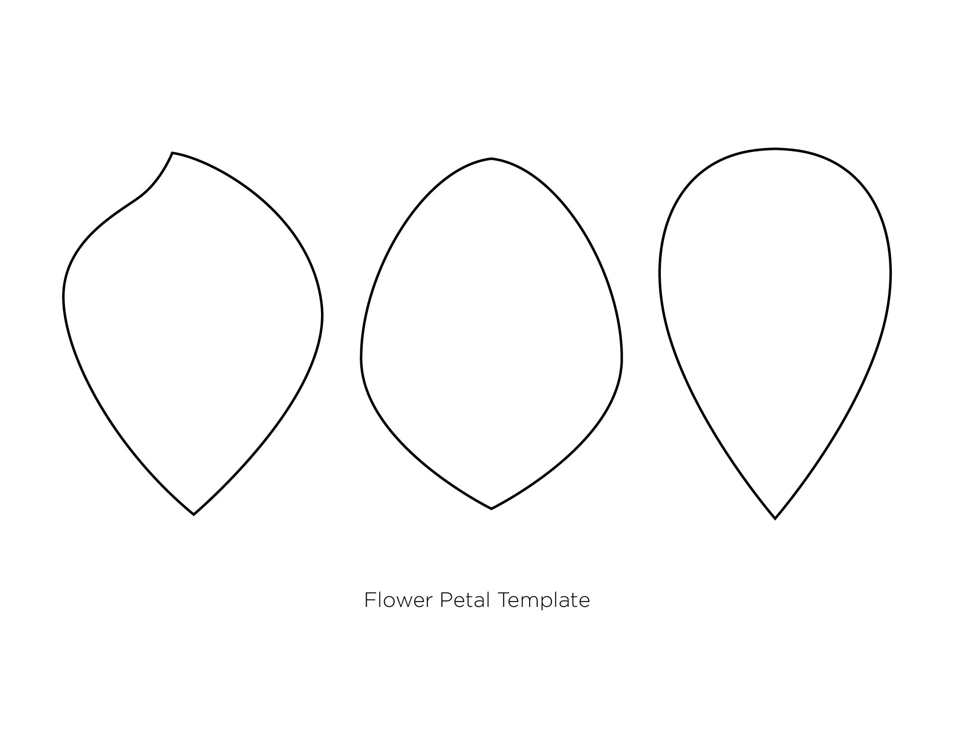 7 Best Images Of Paper Flower Petal Template Printable Printable 