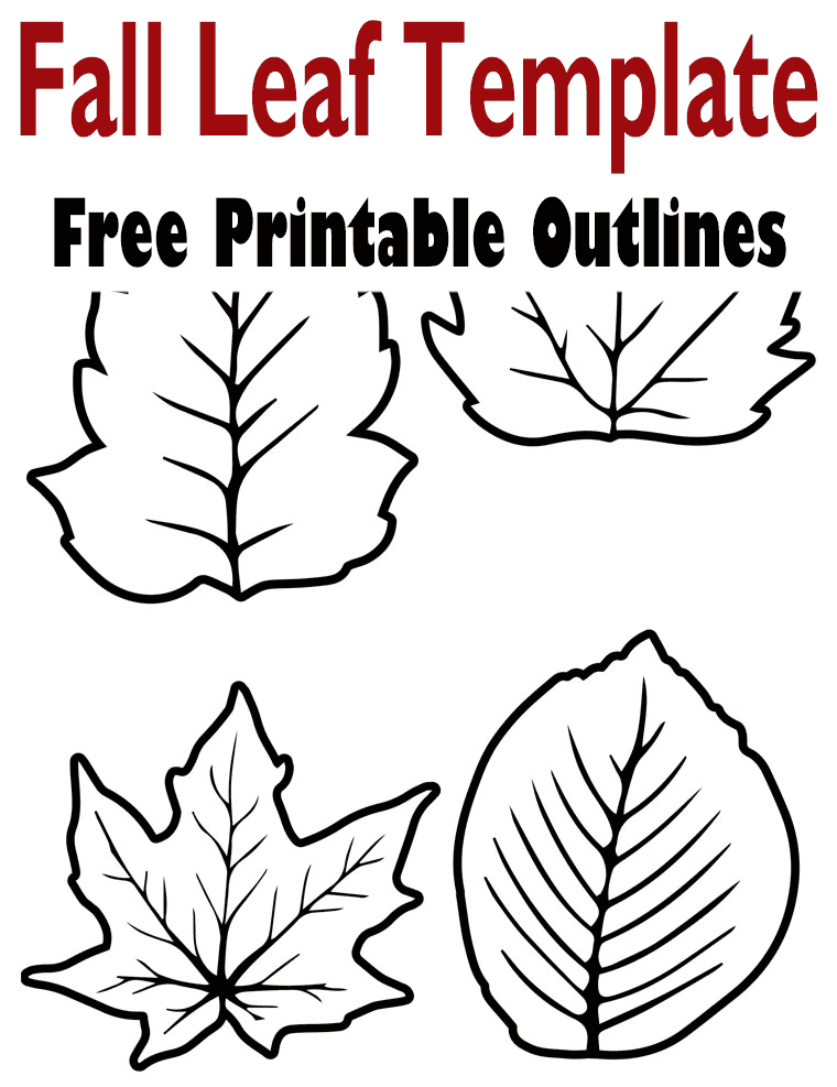 8 Fall Leaf Template Printable Outlines Different Sizes Free A 8 Fall Leaf Template Printable Outlines Different Sizes Free A
