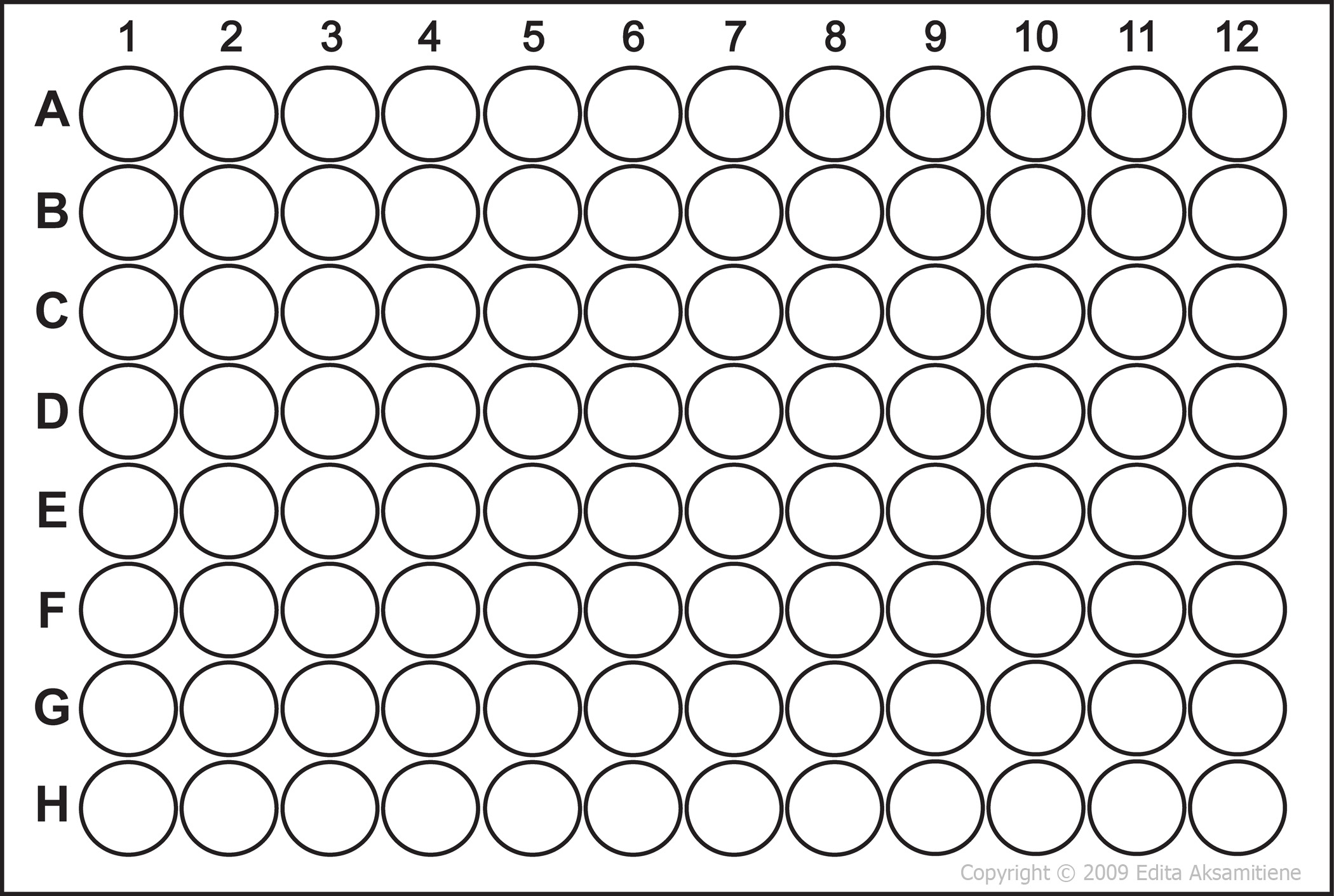 Barrick Lab ProtocolsFluorescentProteinEvolutionaryStability