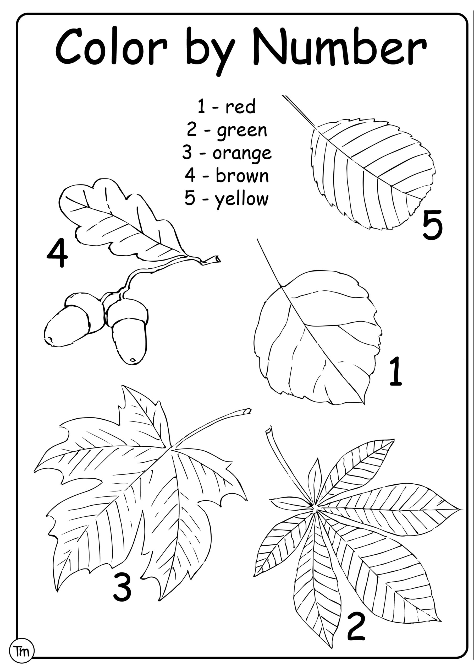 Big Fall Leaves Worksheets Printables Big Fall Leaves Worksheets Printables