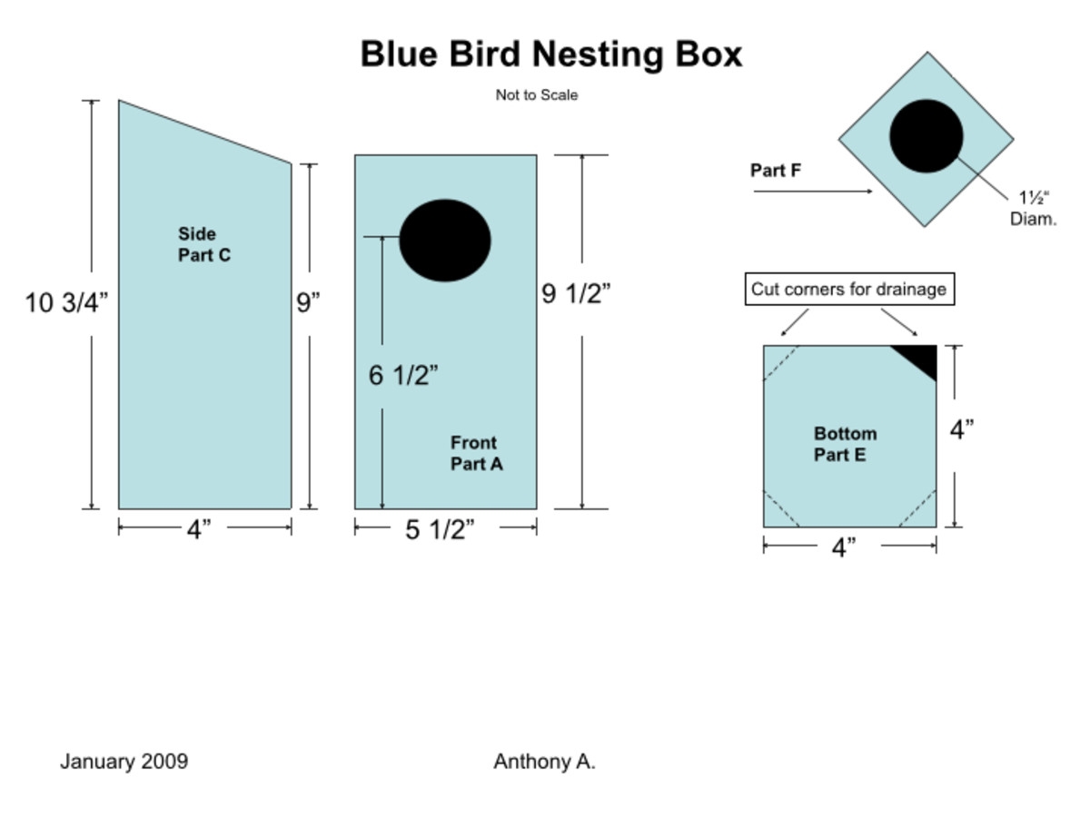 Bluebird House Plans How To Build A Simple DIY Bluebird House FeltMagnet Bluebird House Plans How To Build A Simple DIY Bluebird House FeltMagnet