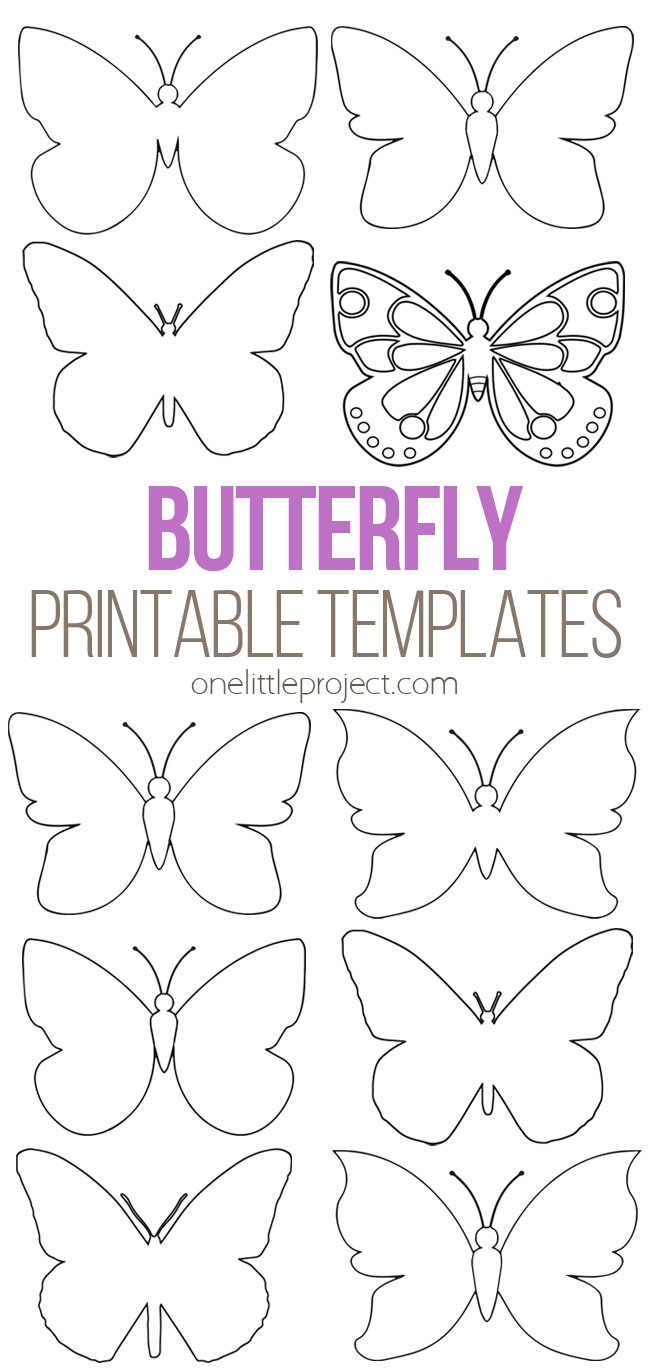 Cut Out Printable 3d Butterfly Template Printables Template Free Cut Out Printable 3d Butterfly Template Printables Template Free