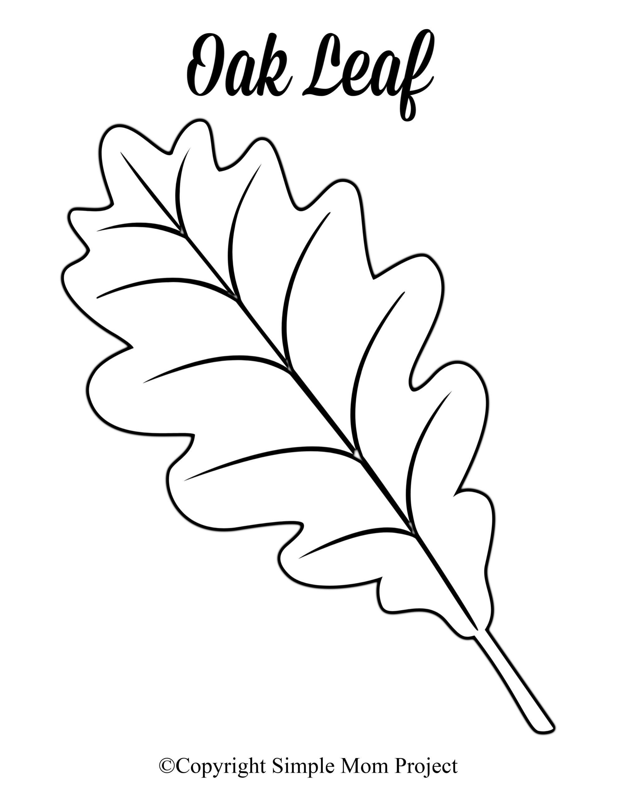 Fall Leaf Printable Patterns