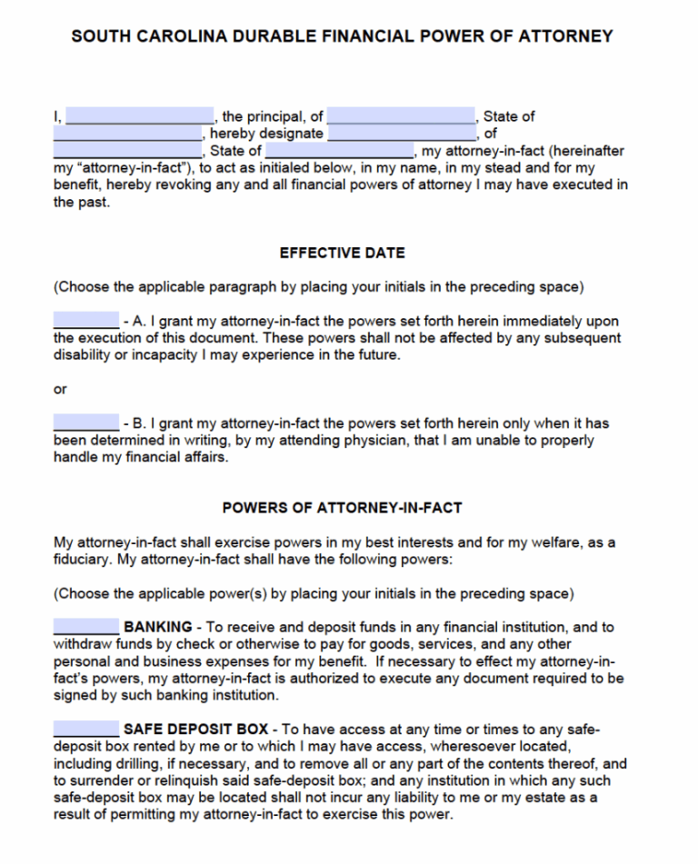 Free Durable Power Of Attorney Form South Carolina