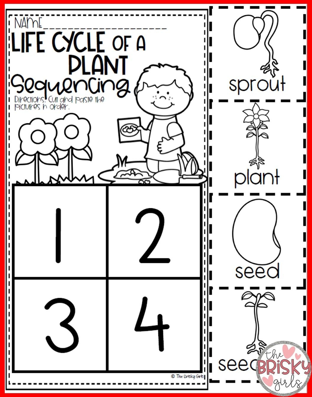 Free Plant Life Cycle Worksheets Printables Free Plant Life Cycle Worksheets Printables