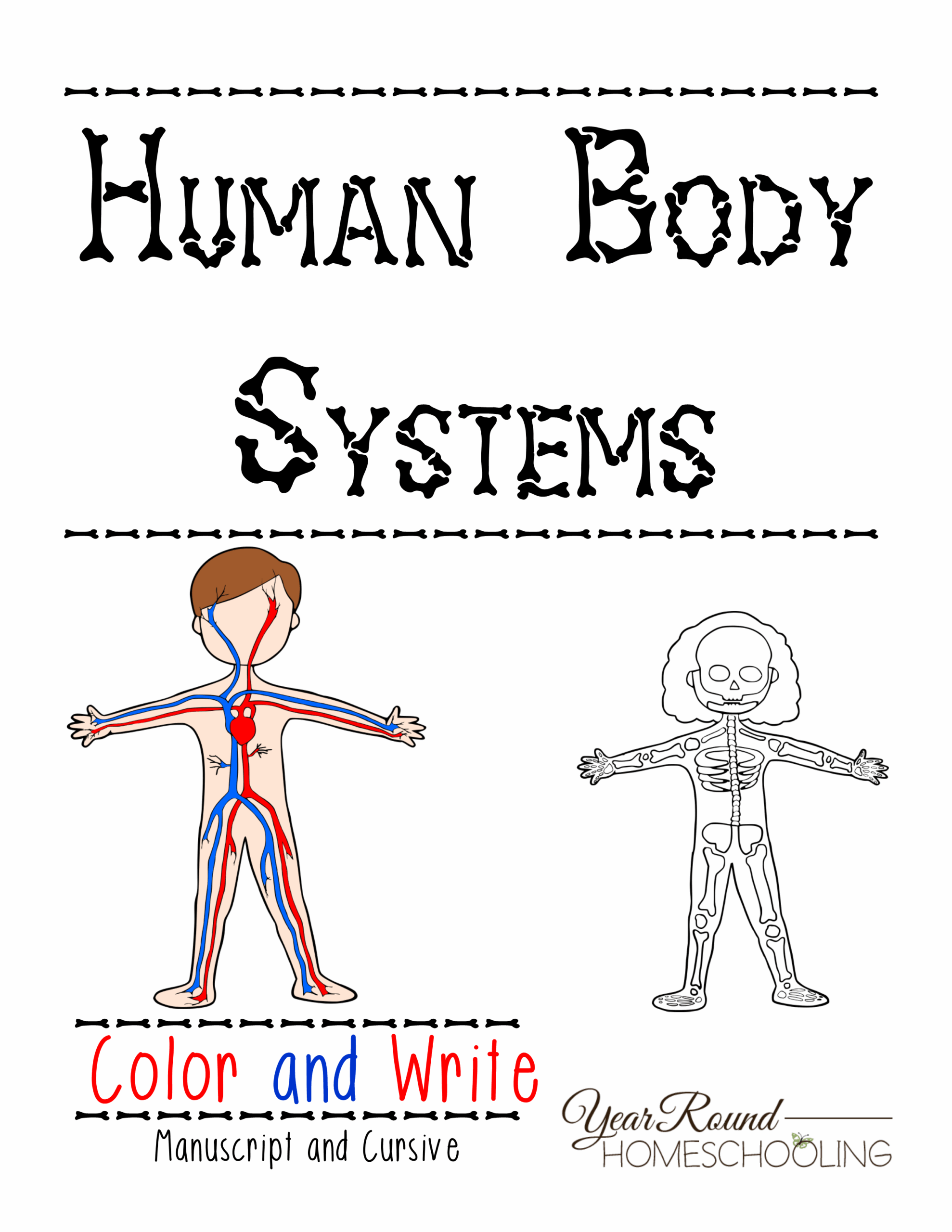 Free Printable Human Body Systems Worksheets Printable Worksheets