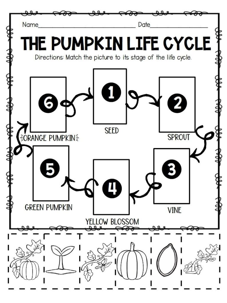Free Printable Pumpkin Life Cycle Worksheet Printable Templates