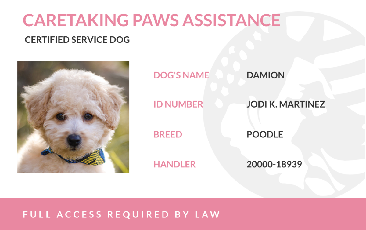 Free Service Dog ID Card Template To Edit Online