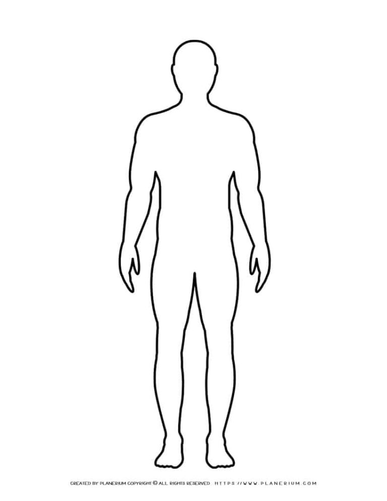 Human Body Printable Outline Printable Free Templates
