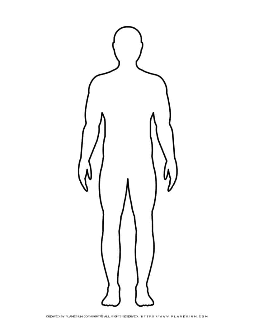 Human Body Printable Outline Printable Free Templates