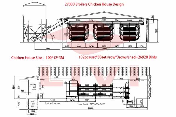 Optimizing Chicken Farming With Fully Automatic Poultry Cage Systems LIVI
