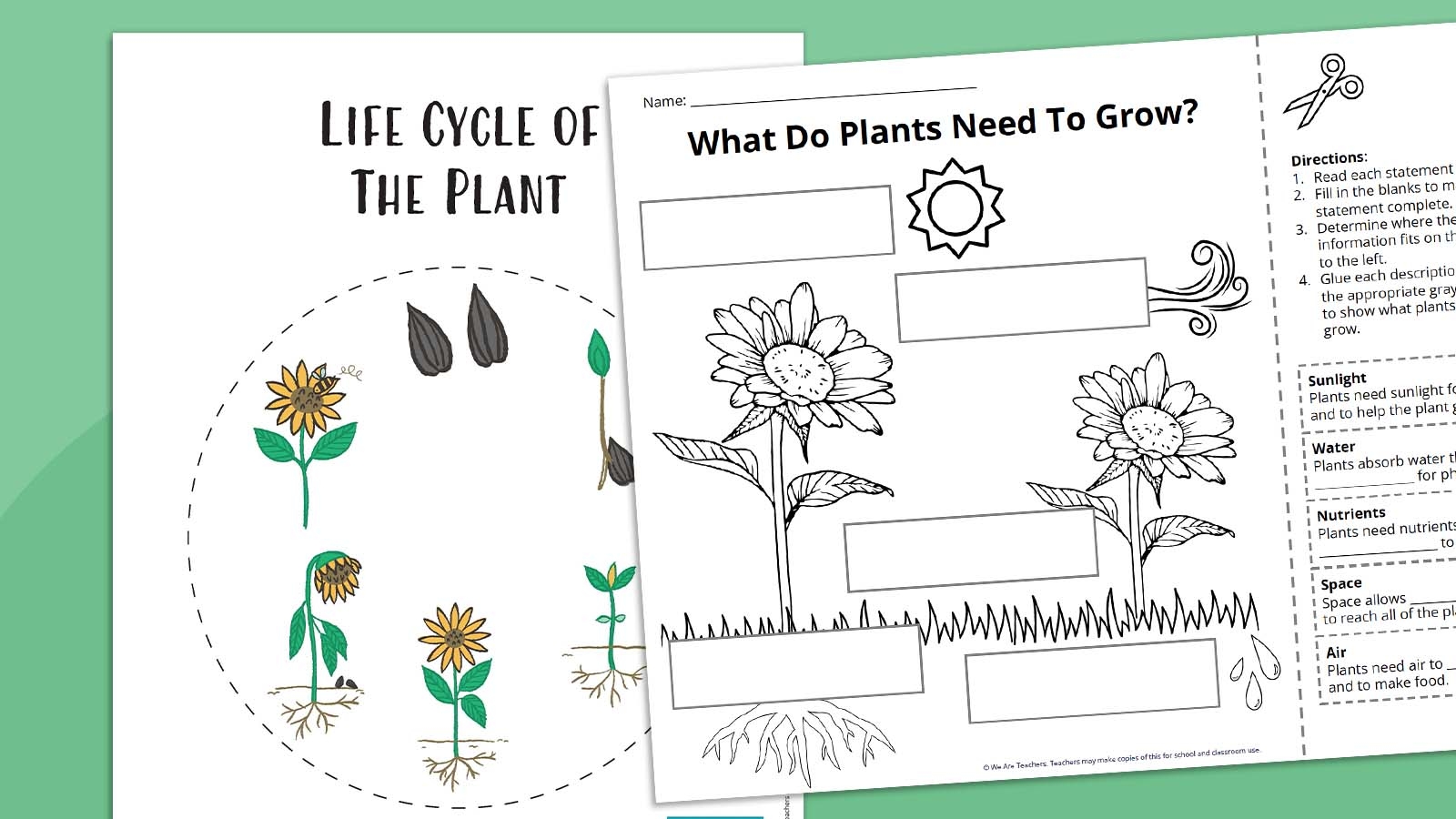 Plant Life Cycle Worksheet Bundle Free Printables Worksheets Library