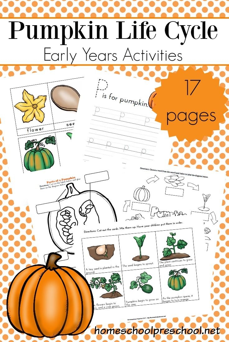 Pumpkin Life Cycle Image Free Printables Pumpkin Life Cycle Image Free Printables