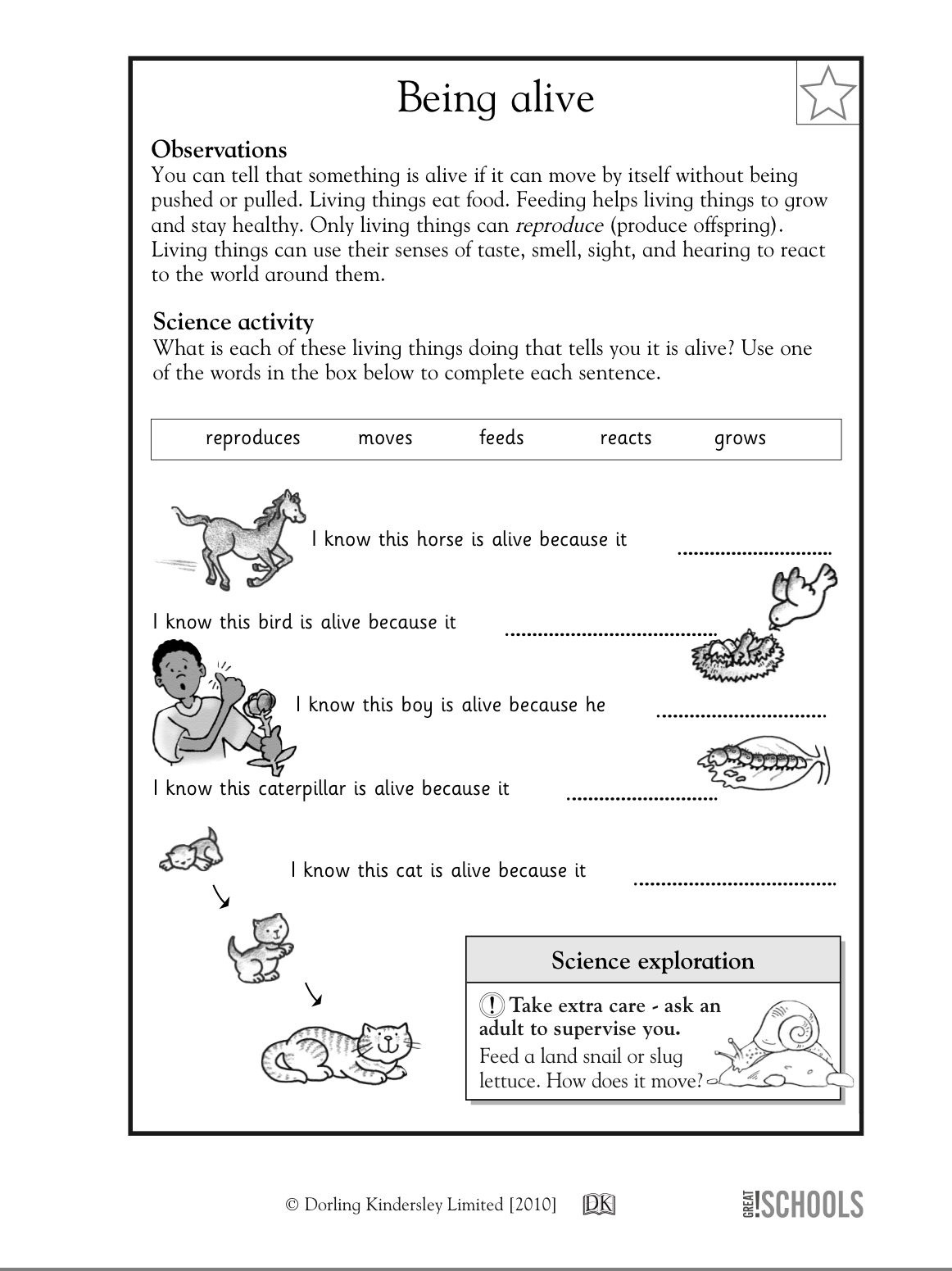 Science Worksheets Printable Printable Worksheets